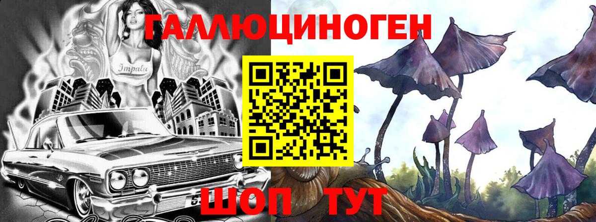 Черняховск  наркотики  Псилоцибиновые грибы мухоморы  Вход с VPN  Псилоцибиновые грибы прущие грибы 